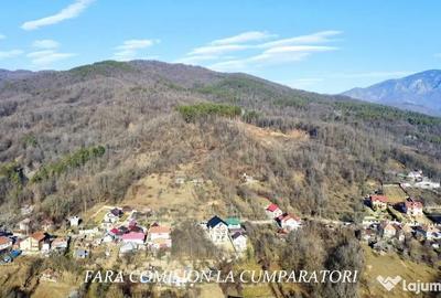 Teren de 1231 mp, în Călimănești - 10