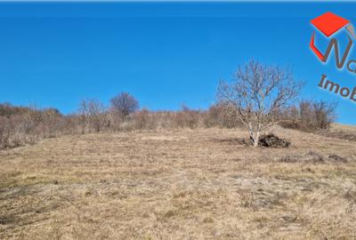 Teren Construcții intravilan de 1400 mp, în Cojocna