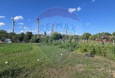 Casă cu 6 camere cu Teren 2655 Mp în Toporu - 6