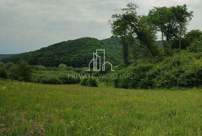 Teren de vanzare, 20.000Mp , Comuna Danes, drumul Crisului - 18