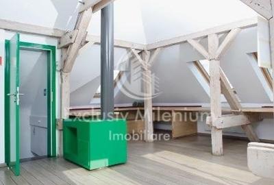 La Vila Birouri Decebal -Piata  Muncii Et 1 +M - 12