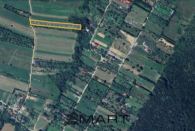 Teren extravilan 3200mp zona Tropinii Vechi - 3