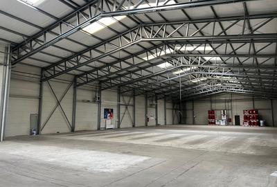 Spatiu de depozitare si productie Iuliul Maniu - 2