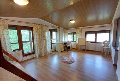 Vila Mogosoaia - 5 camere - 2 bai - 160 mp - 1100 mp teren - 11