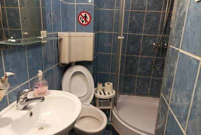 Apartament 2 camere mobilat si utilat zona Centrul Civic - 11