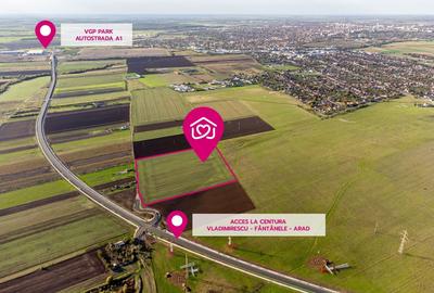 Teren agricol extravilan de 45080 mp, în Sânnicolau Mic - 1