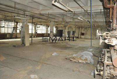Hala industriala 1600mp zona Lazaret str. Dorobantilor
