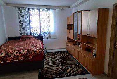 Casă cu Teren 950 Mp în Iecea Mare - 9