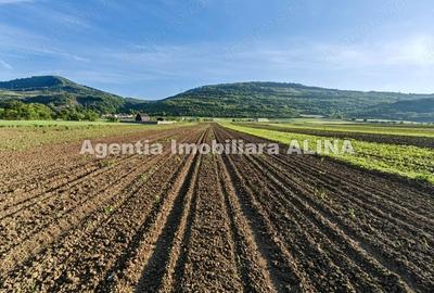 Teren de 4094 mp, în Central - 5