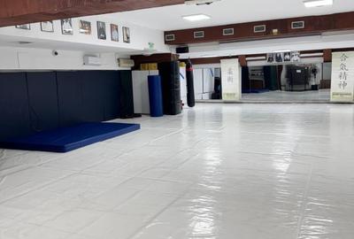 Spațiu comercial, 240 mp în Eroii Revoluției - 3