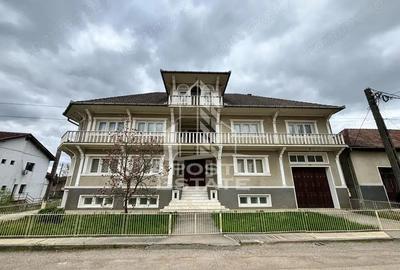 Vila unica, 520 utili, in inima judetului Caras-Severin - 2