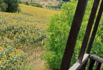 Casă cu 5 camere cu Teren 500 Mp în Mărăcineni - 6