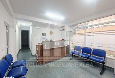 Spațiu comercial, de 400 mp, în Cetate - 2