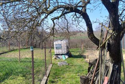 Casă individuală cu 2 camere cu Teren 1172 Mp în Bodrogu Nou - 2