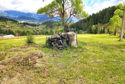 Teren de vis în Fundata 1934mp sau 3868mp, la înălțimea sufletului tău - 2