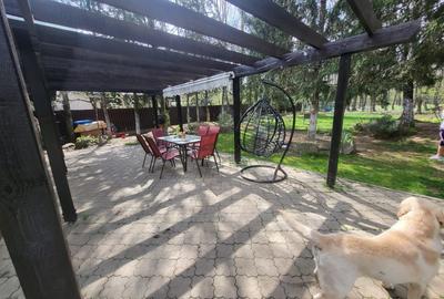 Resedinta cu Padure Privata, Paradisul Verde, teren 1800mp, gradina matura - 3