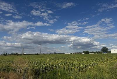 Spațiu comercial, în Centură - 2
