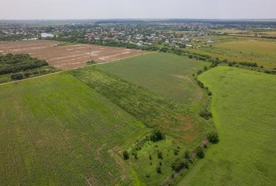 BALOTESTI - SAFTICA, TEREN INTRAVILAN 500 MP, DESCHIDERE 21 M ! - 10