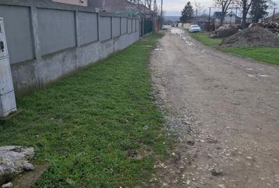 Teren agricol extravilan de 3125 mp, în Corbu - 2