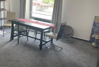 SPATIU DE INCHIRIAT TIMURI NOI-TINERETULUI - 8