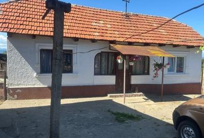 Casa traditionala cu teren generos la tara - Gorj, Șomanesti - 6