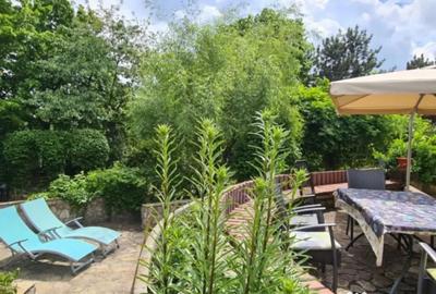 Casă cu 7 camere cu Piscina în Săftica - 4