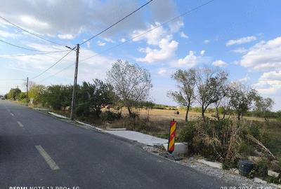 Teren de 1673 mp, în Sărand - 7