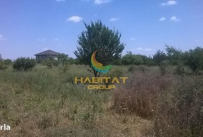 Spațiu comercial, în Central