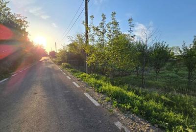 Teren de 1200 mp, în Valea Argovei - 1