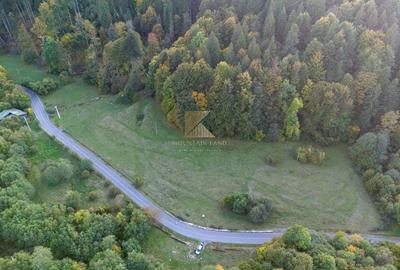 Parcele de teren de 1000 mp în Râșnov, str. Glăjărie Râul Mare - 9