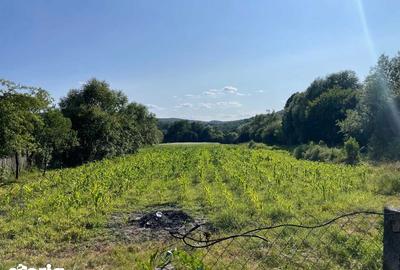 Casă cu 3 camere cu Teren 53 Mp în Ștrand - 2