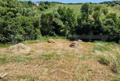 Teren intravilan, ideal constructie casa, 12 ari in zona Va - 9