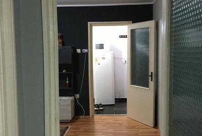 Apartament cu 2 camere semidecomandat, mobilat în Viziru 3 - 4