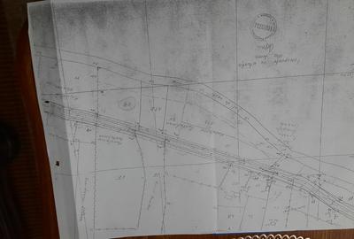 Teren  Câmpul lui Neag, Cheile Butii - 1