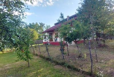 Proprietate în zonă de munte, locaţie uşor accesibilă, comuna Pârscov