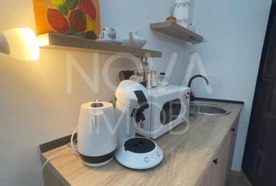 2 garsoniere, regim hotelier - Piata Armelor - 4