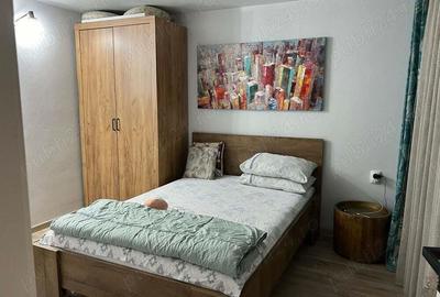 Casa la cheie Zona Fedelesoiu - 14