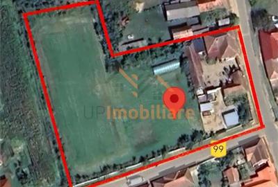 Casă cu 4 camere cu Teren 5526 Mp în Cheșa - 8