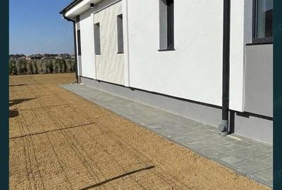 BRASADAS vinde casa tip PARTER in Odoreu, cartierul Olimp. - 4