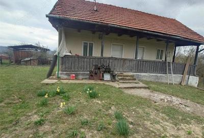 Teren de 9370 mp, în Țebea - 3