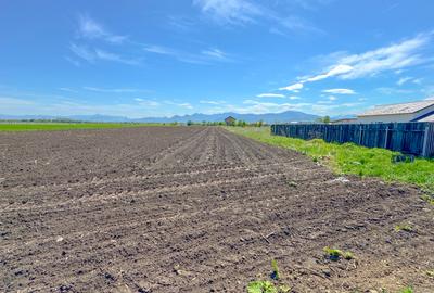 Teren intravilan, 1.7 hectare, Stupini Strada Barsei - 8