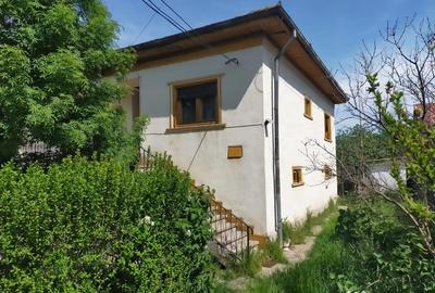 Casă cu 4 camere în Domnești - 1