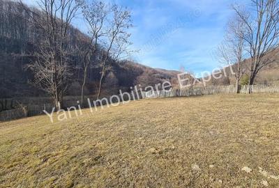 Teren de 4681 mp, în Bărăști - 9