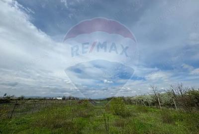 Teren de 404 mp, în Central - 3