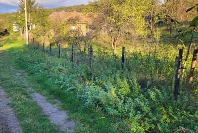 Spațiu comercial, în Deleni - 4