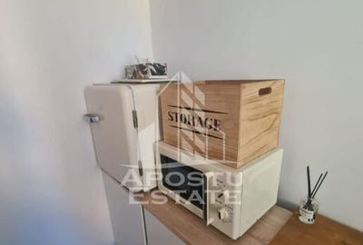 Garsonieră în Badea Cârțan - 22