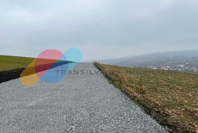 Teren 855 mp in zona strazii Odobesti Teren 855 mp in zona strazii Odobesti - 9