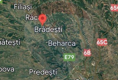 Teren vanzare la DN79 Dolj, Bradesti - 3