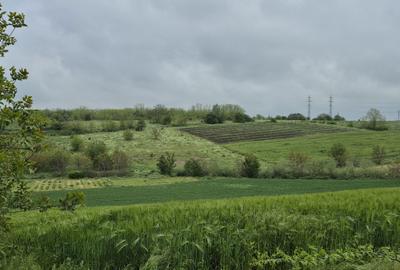 Teren de 770 mp, în Vlad Țepeș - 1