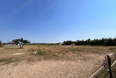 Teren de 760 mp, în Oșorhei - 2